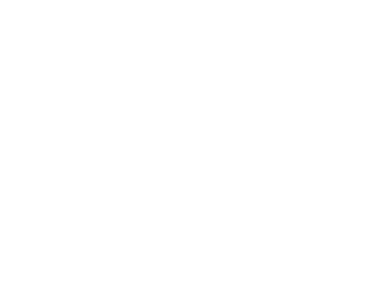Logo STG