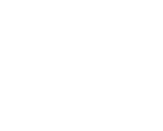 Logo VGO